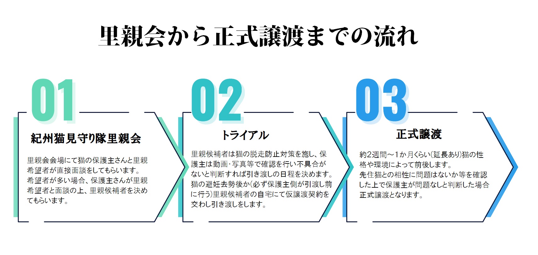 紀州猫里親会里親様候補ページ